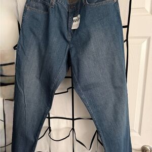 GAP Straight Leg Jeans in Blue Wash